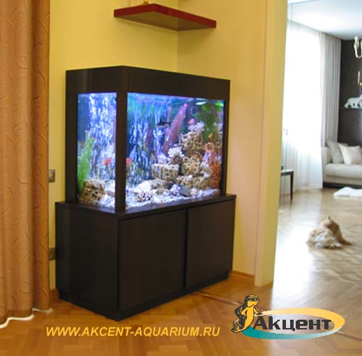 Акцент-аквариум,аквариум 400 литров прямоугольный